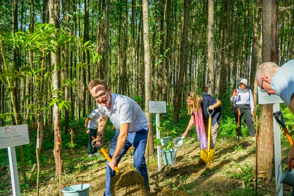 Kunjungi IKN, Dubes Inggris Dukung Konsep Kota Hutan